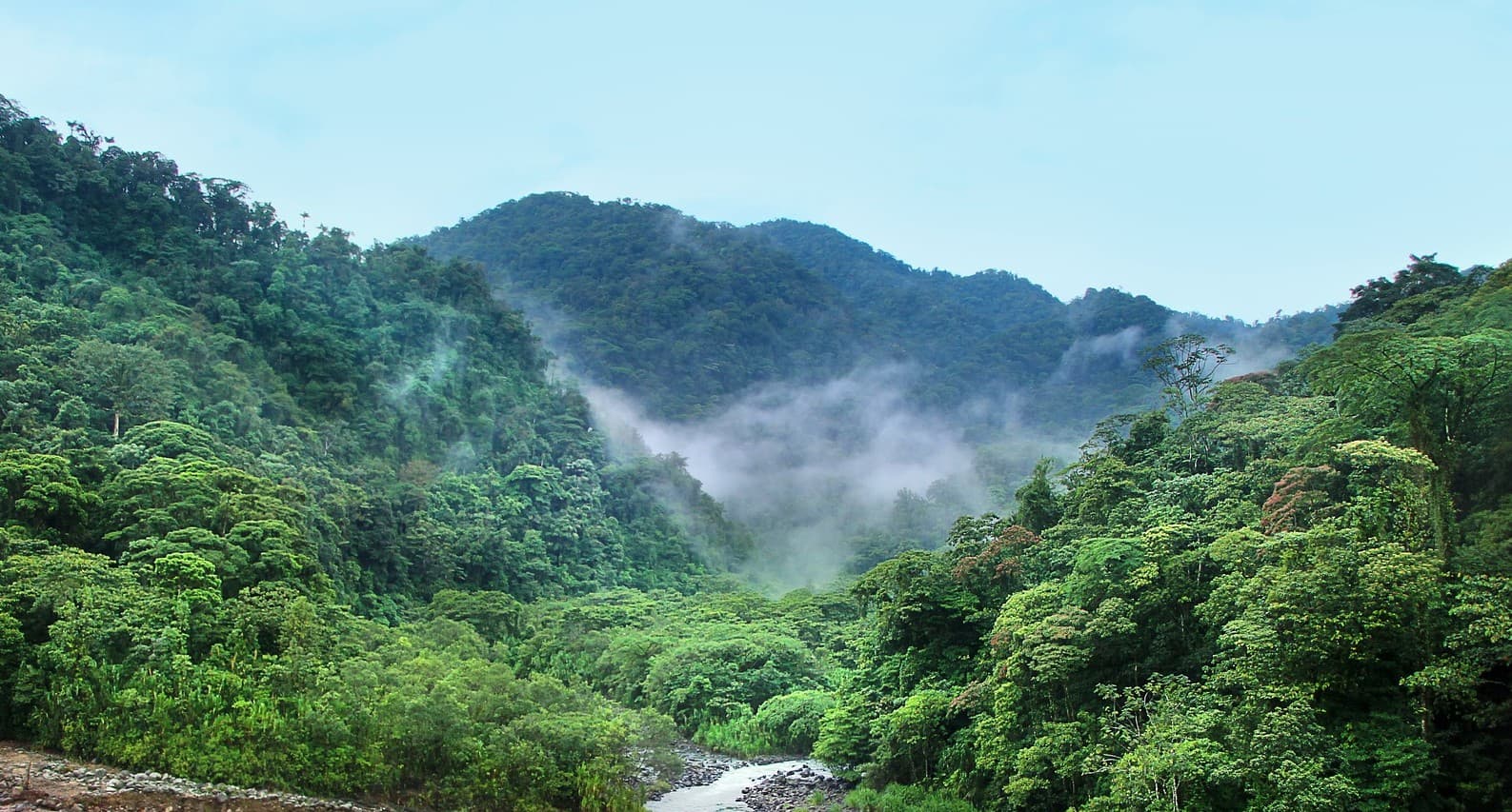 Policymakers must recognise global economic risks posed by ecosystem ‘tipping points’