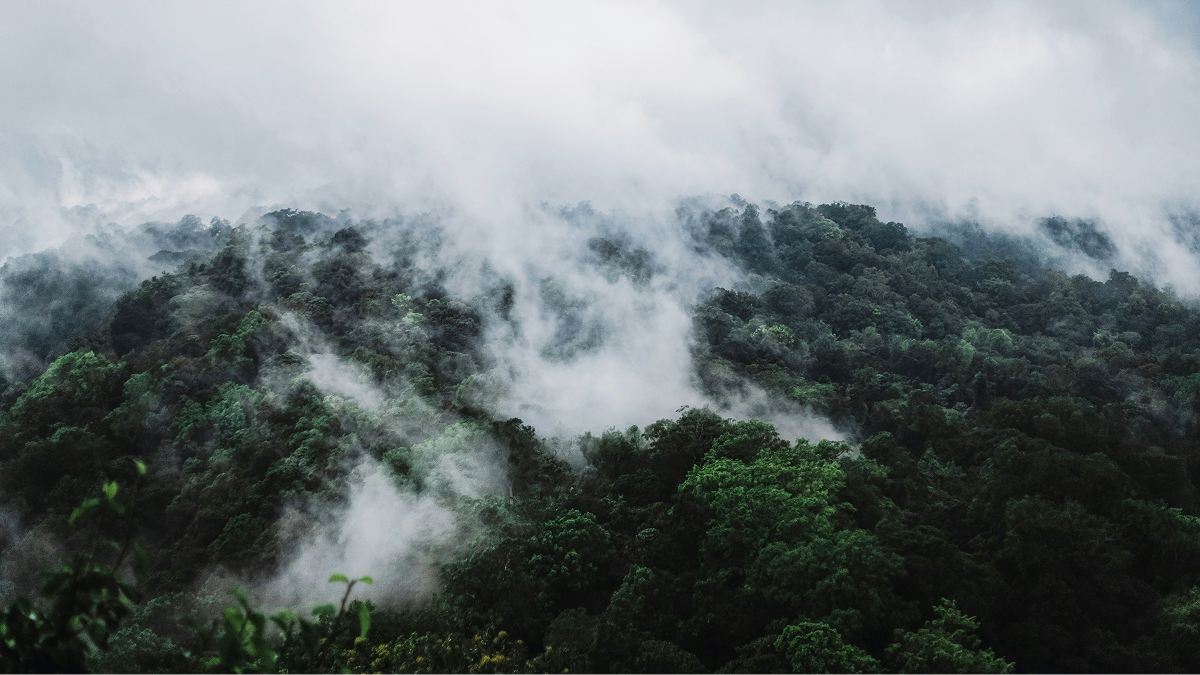 New tipping points playbook: The Earthshot Prize and University of Exeter reveal how to make planetary repair unstoppable